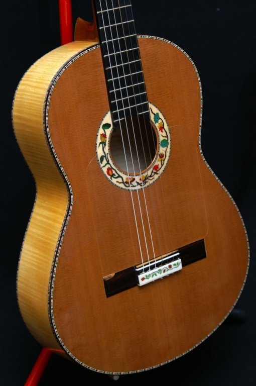 guitarrasespeciales11.jpg