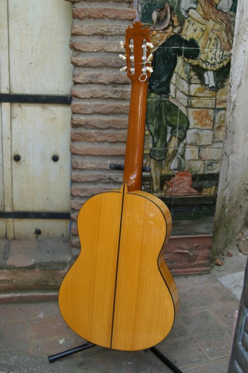 guitarrasespeciales15.jpg