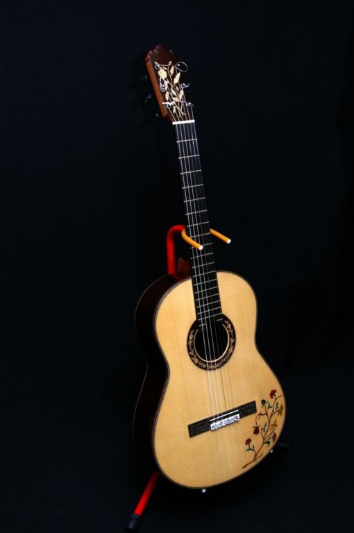 guitarrasespeciales4.jpg