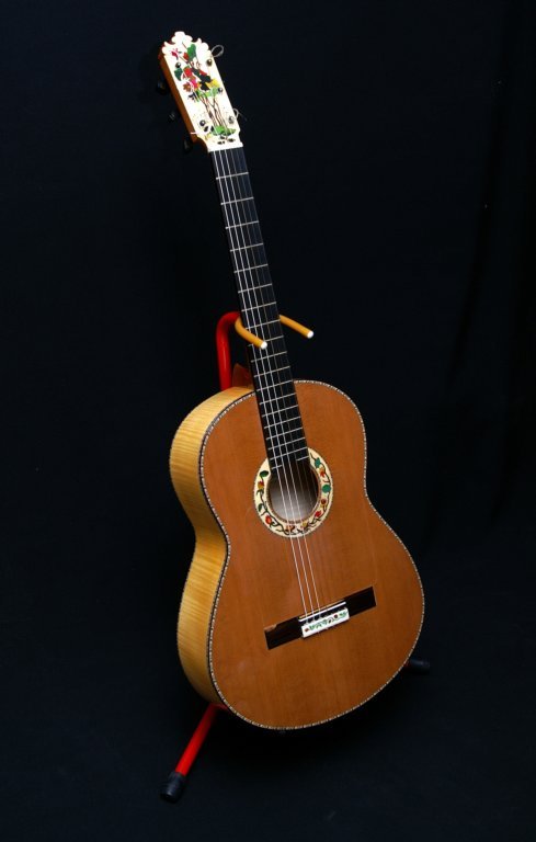 guitarrasespeciales5.jpg