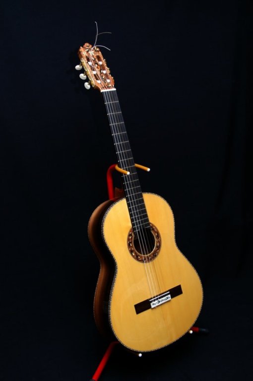 guitarrasespeciales6.jpg