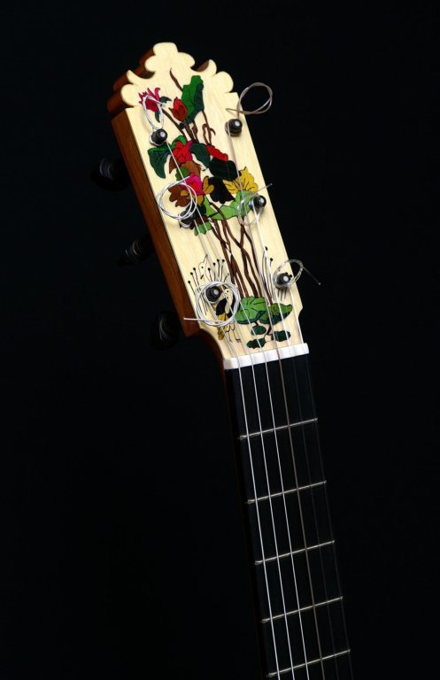 guitarrasespeciales8.jpg