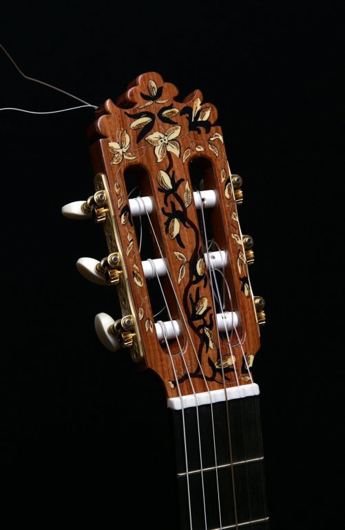 guitarrasespeciales9.jpg